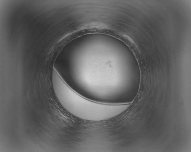 X0000073531112200607311008