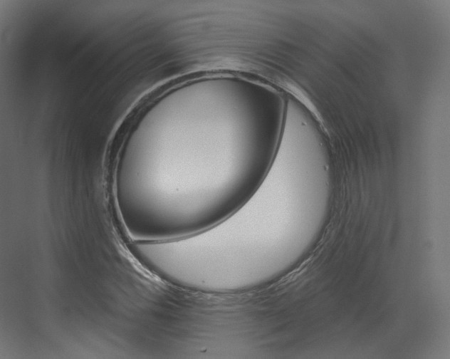 X0000073531116200607311008