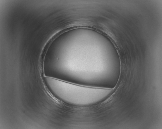 X0000073531119200607311008