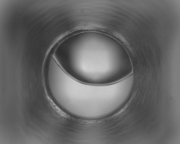 X0000073531122200607311008