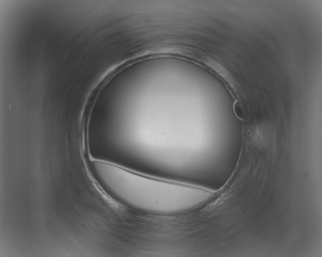 X0000073531127200607311008