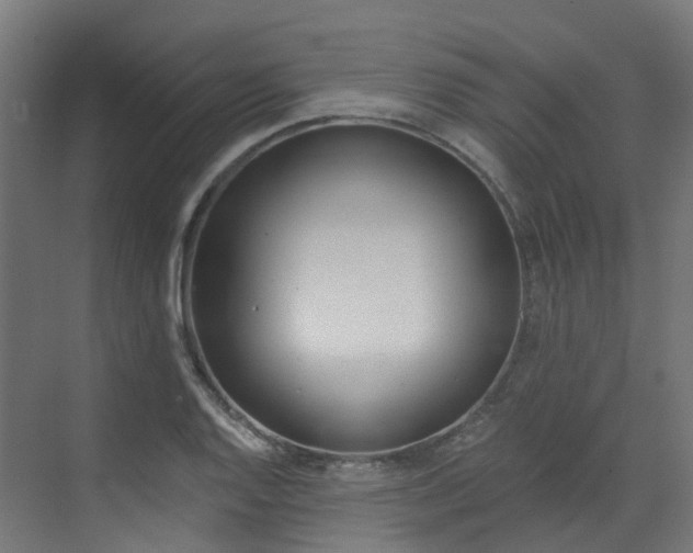 X0000073531128200607311008