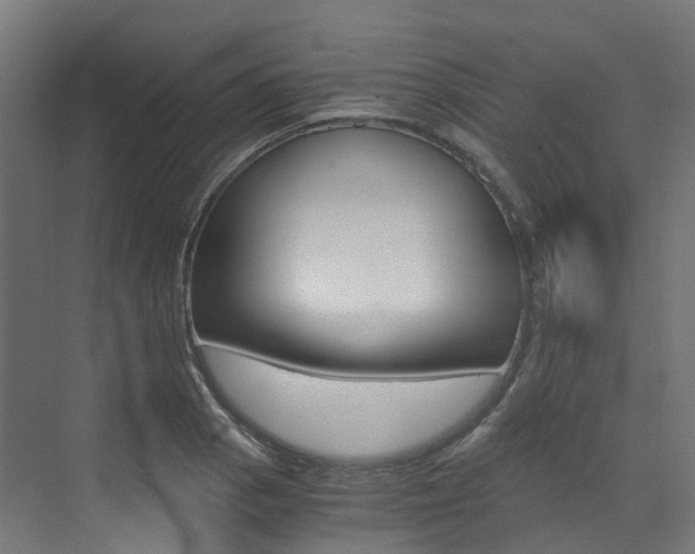 X0000073531129200607311008