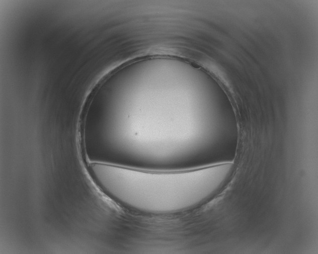X0000073531133200607311008