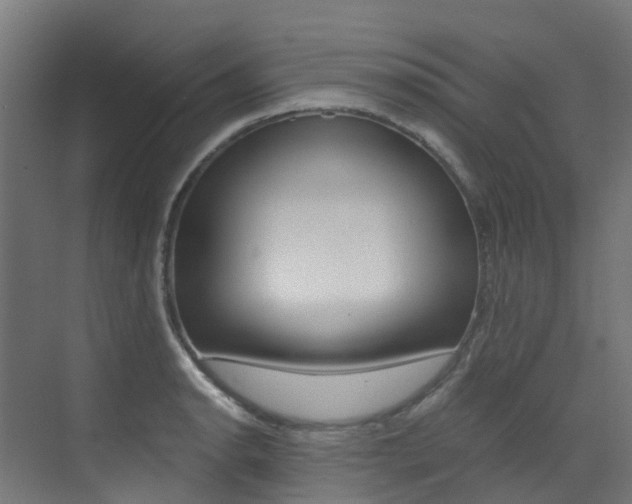 X0000073531134200607311008