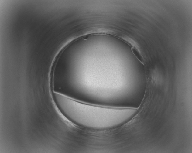 X0000073531135200607311008