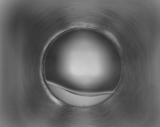 X0000073531136200607311009