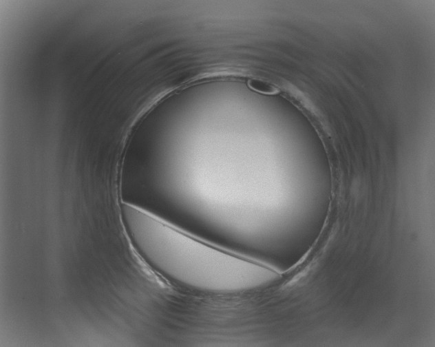 X0000073531137200607311009