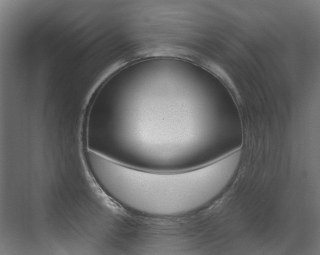 X0000073531138200607311009