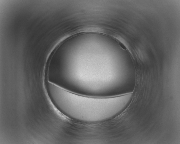 X0000073531139200607311009