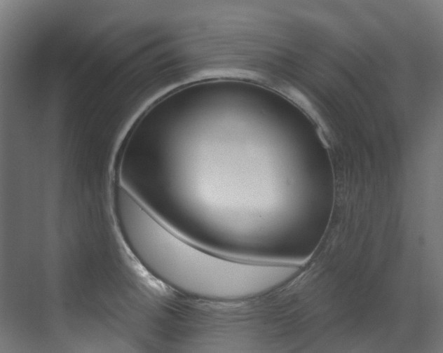 X0000073531140200607311009