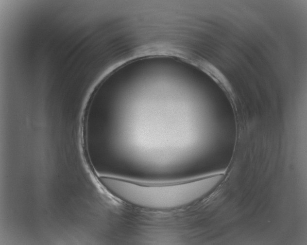 X0000073531144200607311009