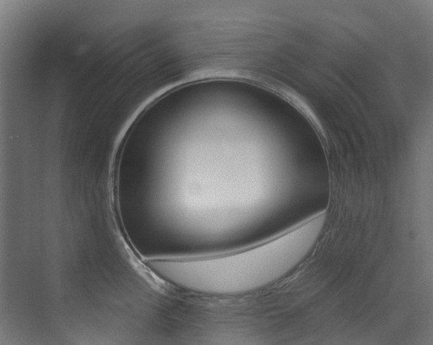X0000073531148200607311009