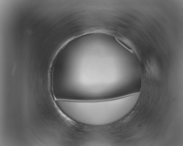X0000073531151200607311009