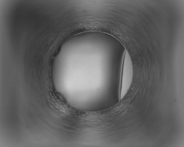 X0000073531153200607311008