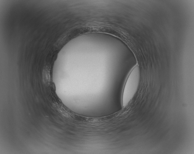 X0000073531155200607311008
