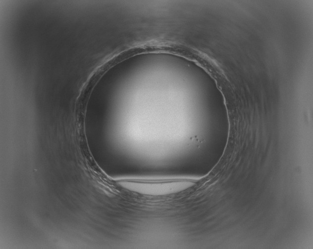X0000073531160200607311008