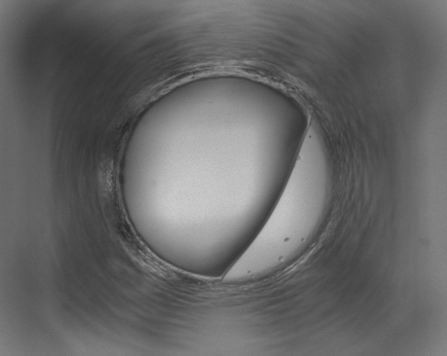 X0000073531161200607311008