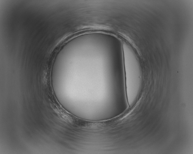 X0000073531163200607311008