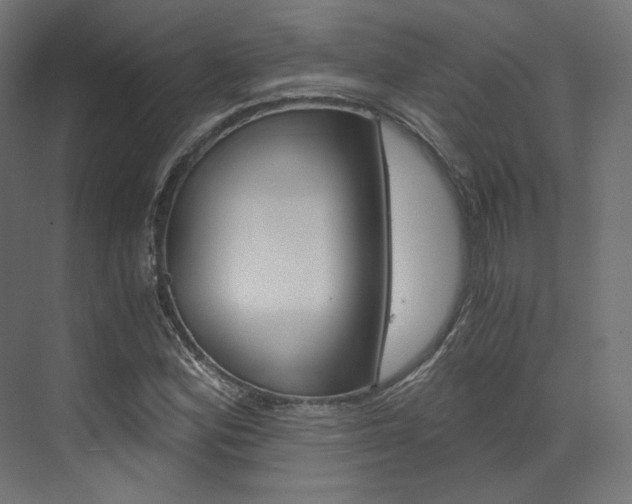 X0000073531164200607311008