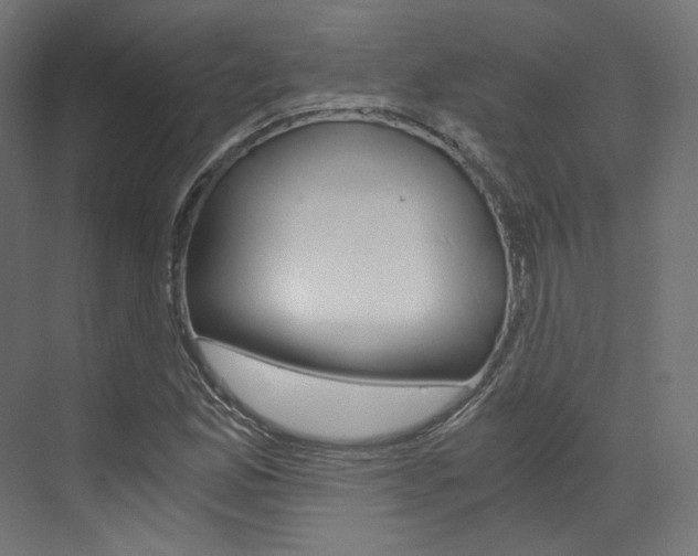 X0000073531165200607311008