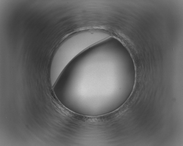 X0000073531169200607311008