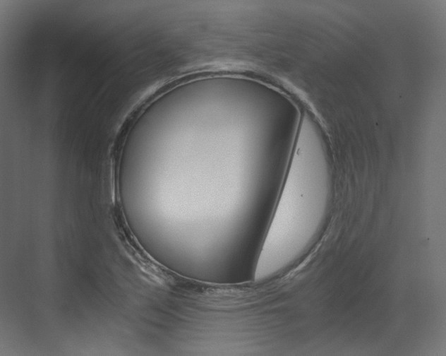 X0000073531171200607311008