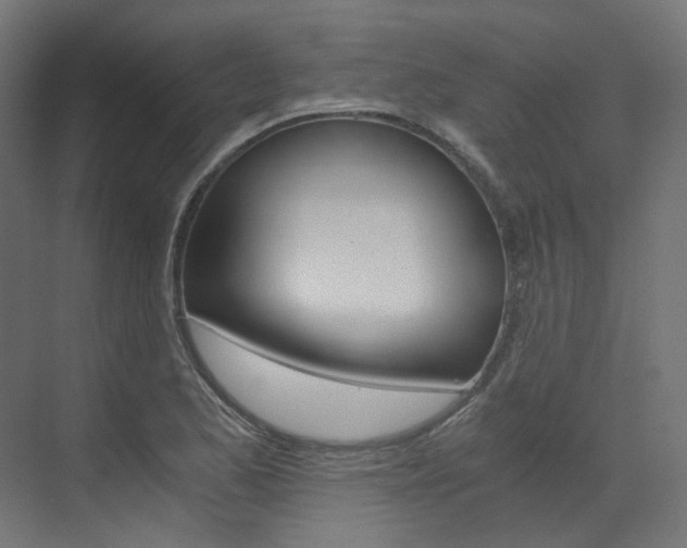 X0000073531173200607311008