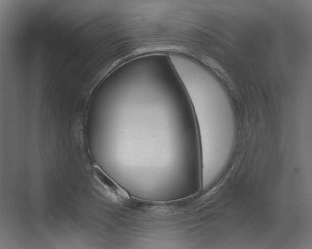 X0000073531177200607311008