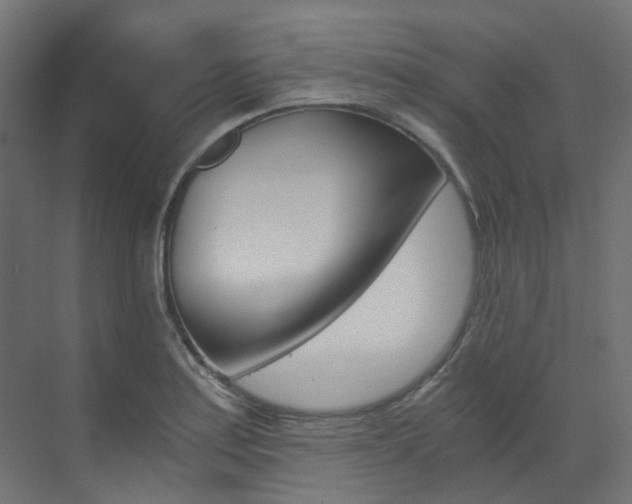 X0000073531179200607311008