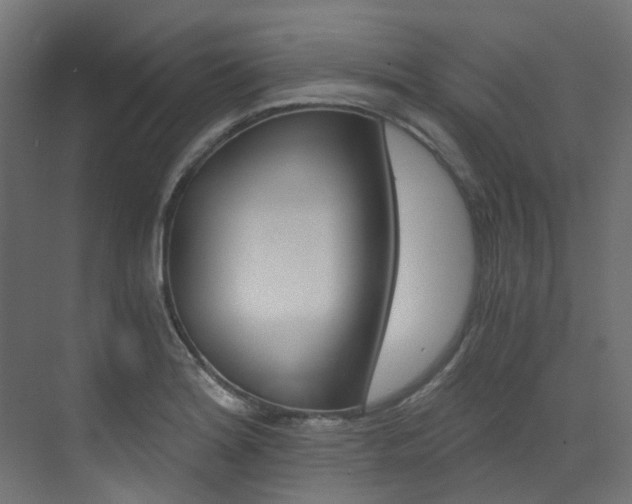 X0000073531180200607311008