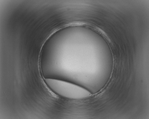 X0000073531186200607311007