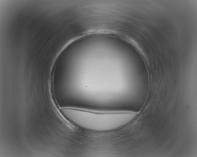 X0000073531187200607311007