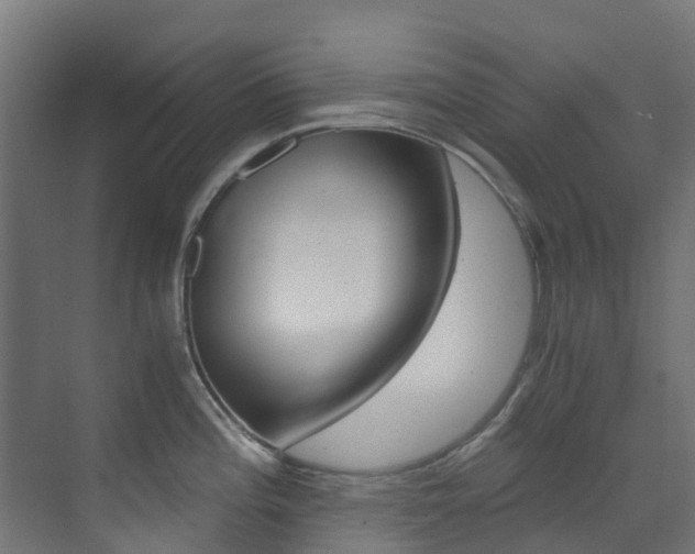 X0000073531196200607311007