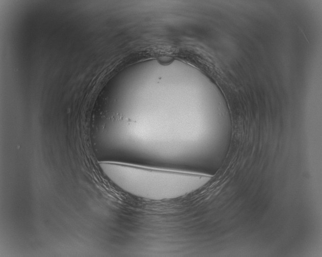 X0000073531201200607311006