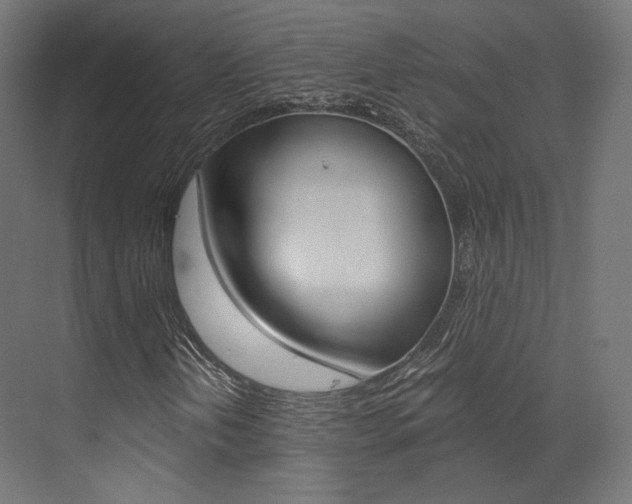 X0000073531202200607311006