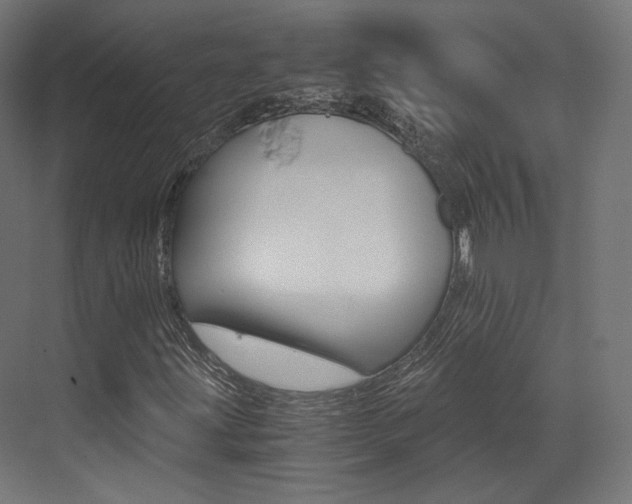 X0000073531203200607311006