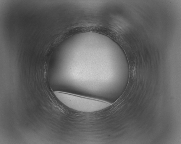 X0000073531204200607311006
