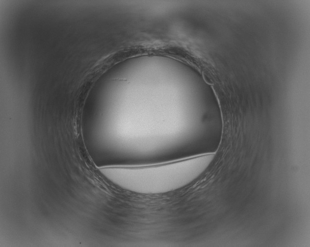 X0000073531205200607311006