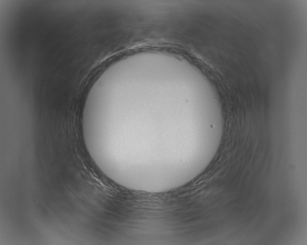 X0000073531206200607311006