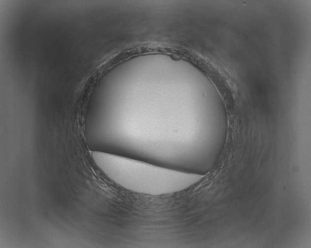 X0000073531207200607311006