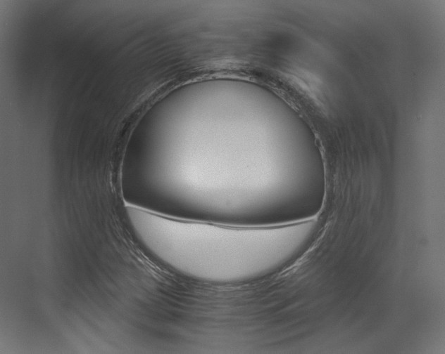 X0000073531209200607311007