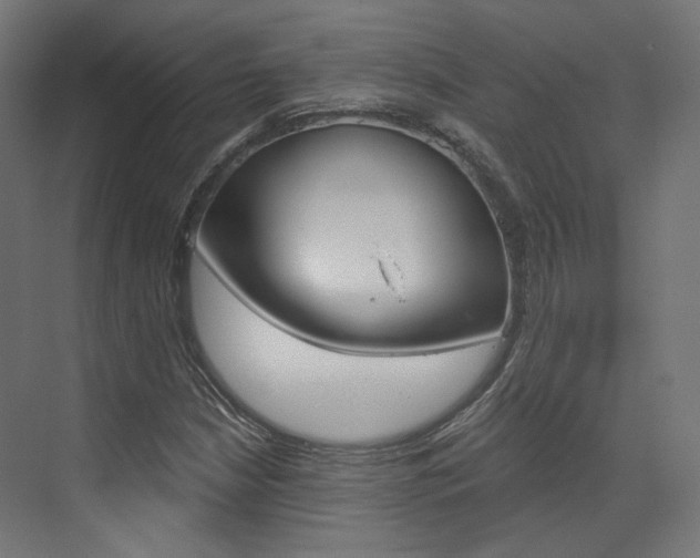 X0000073531210200607311007