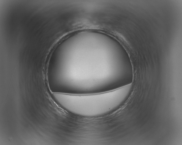 X0000073531212200607311007