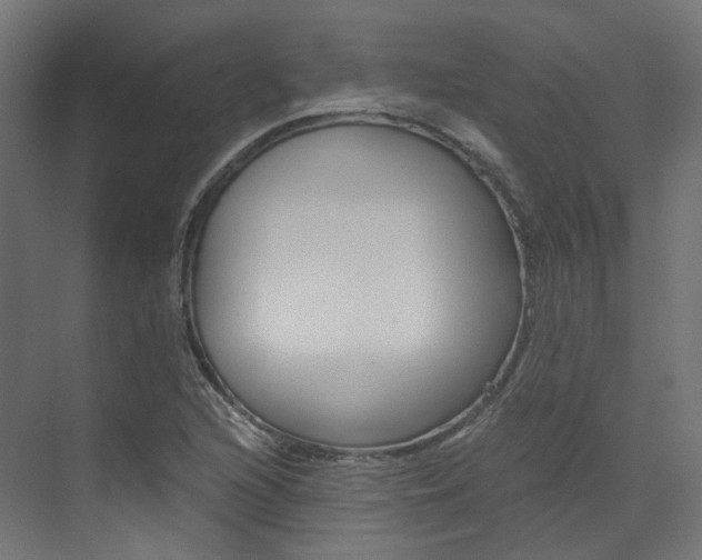 X0000073531216200607311007