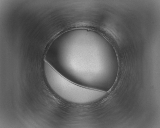 X0000073531217200607311007