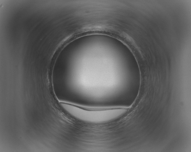 X0000073531218200607311007