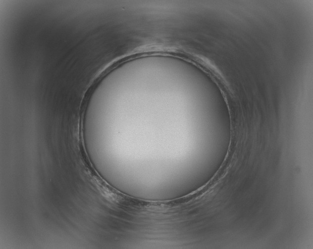 X0000073531220200607311007