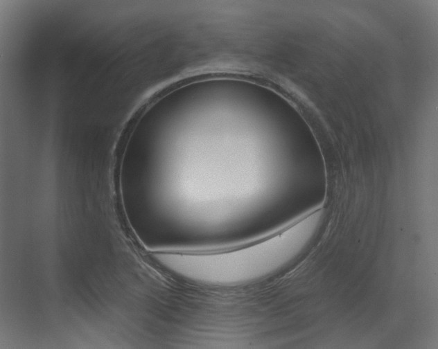 X0000073531222200607311007