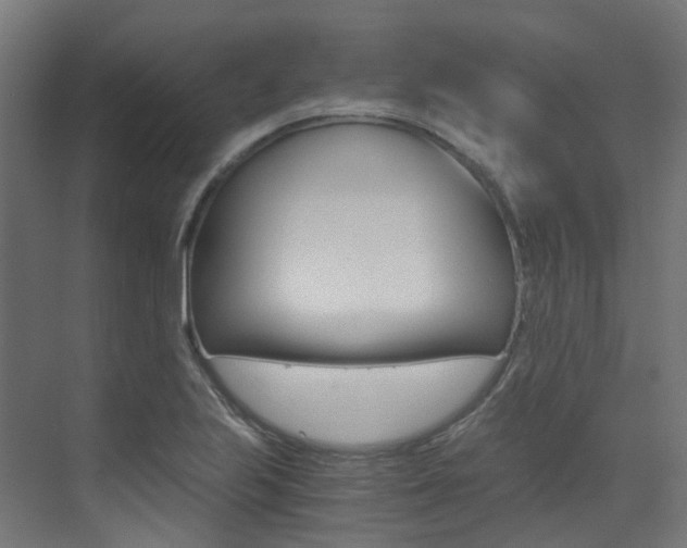 X0000073531223200607311007